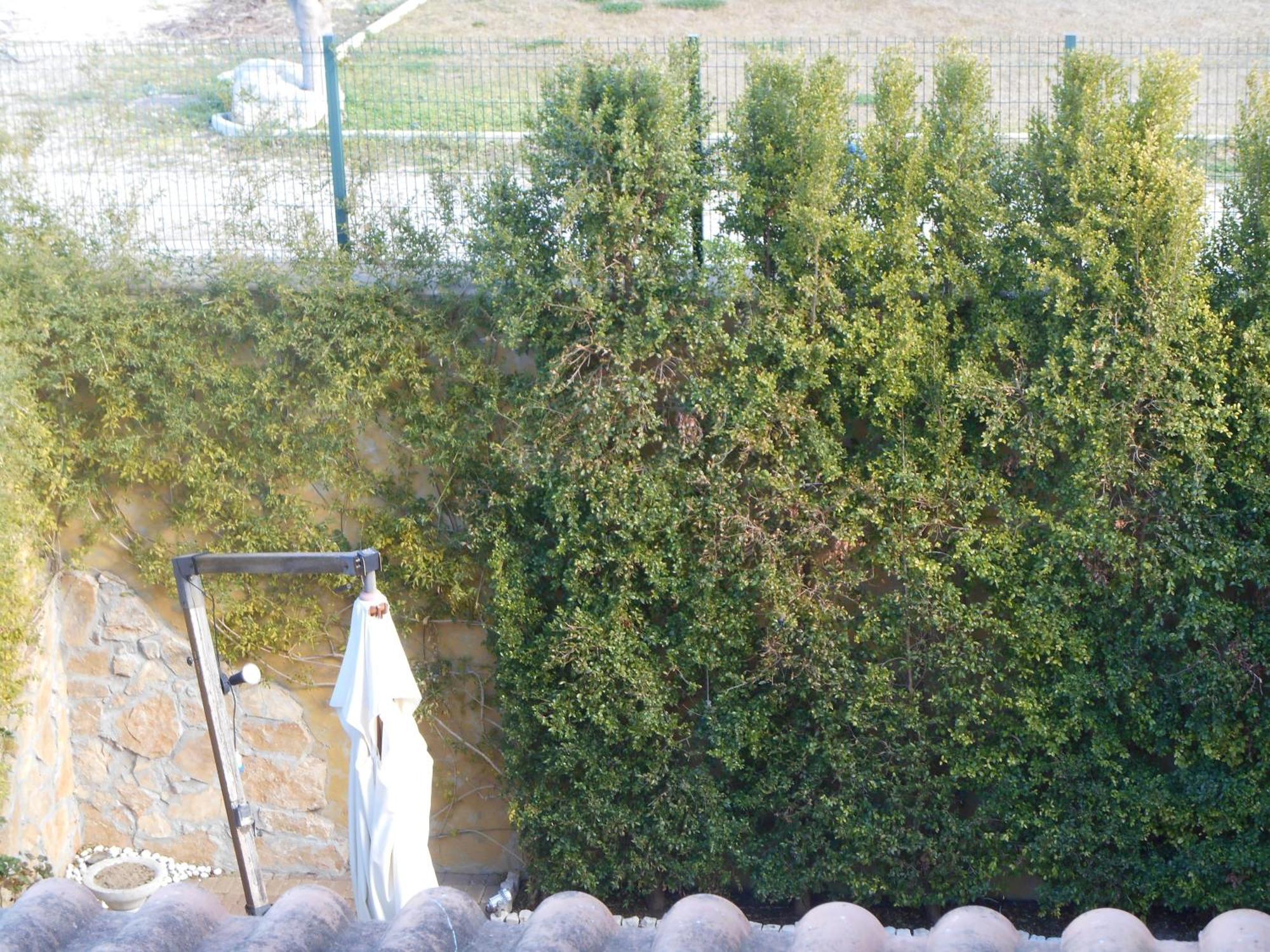 Bed & Breakfast Giardini Di Marzo Lecce Eksteriør billede