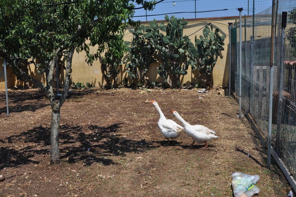 Bed & Breakfast Giardini Di Marzo Lecce Eksteriør billede
